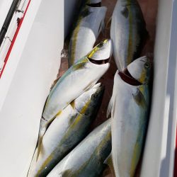 海龍丸（石川） 釣果