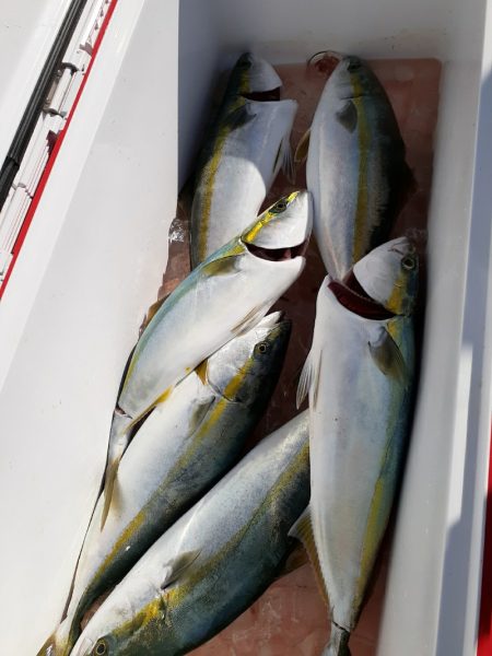海龍丸（石川） 釣果
