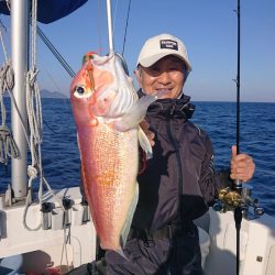 ARCADIAⅡ (アルカディアⅡ) 釣果