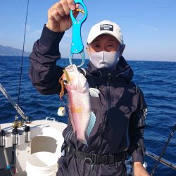 ARCADIAⅡ (アルカディアⅡ) 釣果