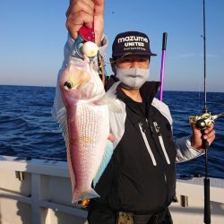 ARCADIAⅡ (アルカディアⅡ) 釣果