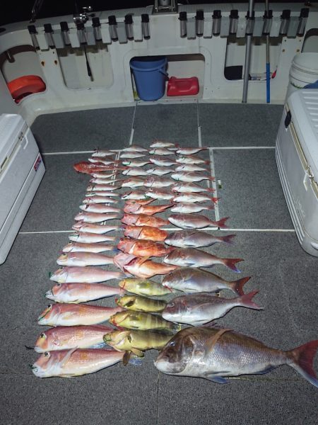 ARCADIAⅡ (アルカディアⅡ) 釣果