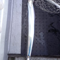 第二龍勢丸 釣果