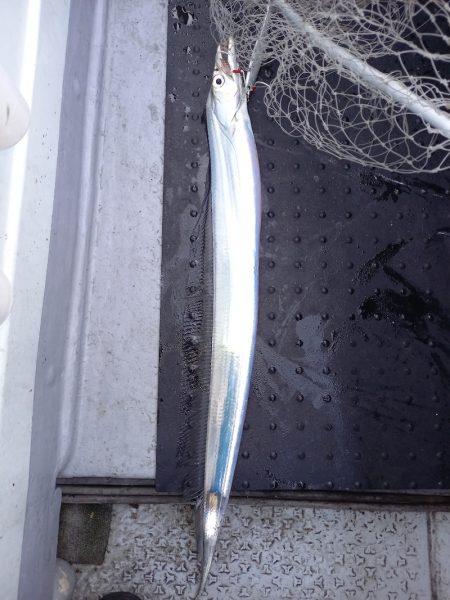 第二龍勢丸 釣果