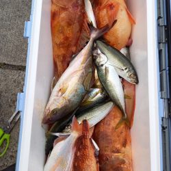 第二龍勢丸 釣果