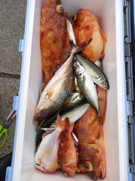 第二龍勢丸 釣果