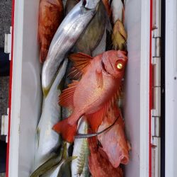 第二龍勢丸 釣果