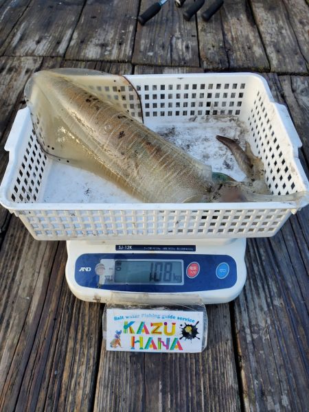一華丸 釣果