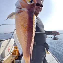 アマテラス 釣果