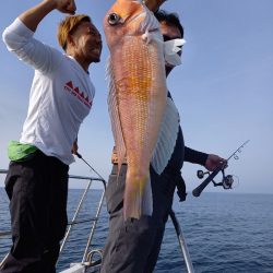 アマテラス 釣果