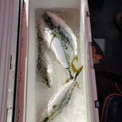 海龍丸（石川） 釣果