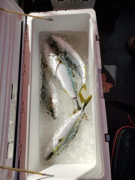 海龍丸（石川） 釣果