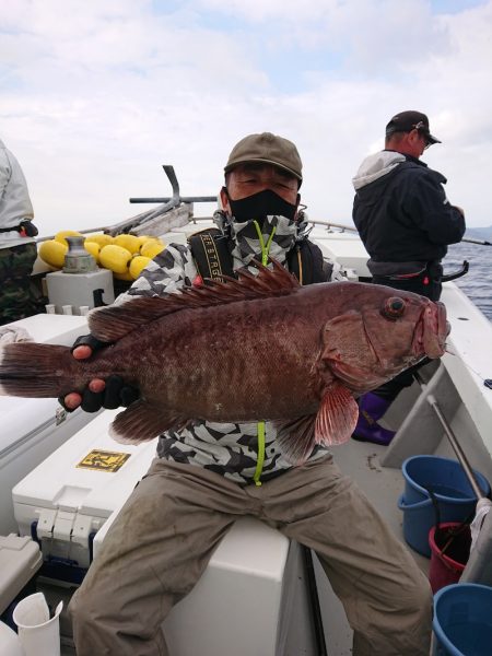 エンペラー 釣果