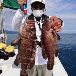 エンペラー 釣果