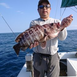 エンペラー 釣果