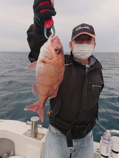 ARCADIAⅡ (アルカディアⅡ) 釣果