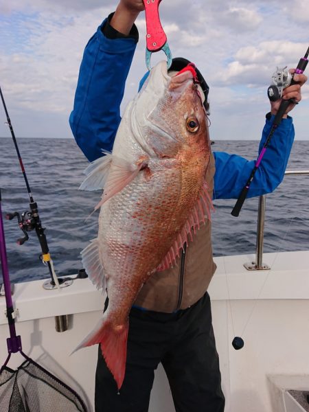 ARCADIAⅡ (アルカディアⅡ) 釣果