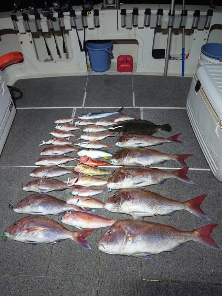 ARCADIAⅡ (アルカディアⅡ) 釣果