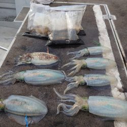 ブルースフィッシングサービス 釣果