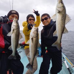 アマテラス 釣果