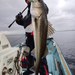 アマテラス 釣果