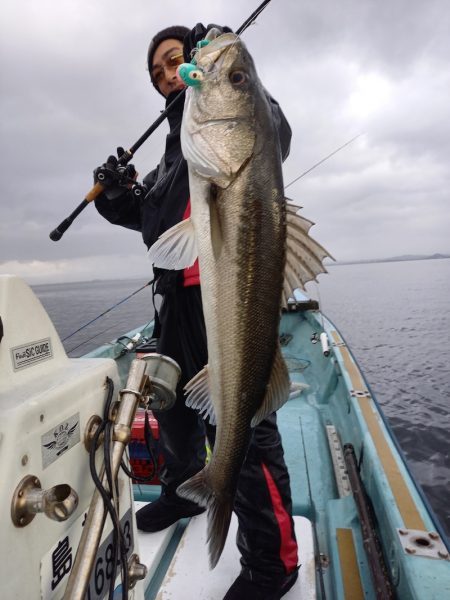 アマテラス 釣果