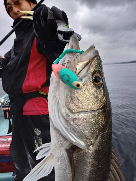 アマテラス 釣果