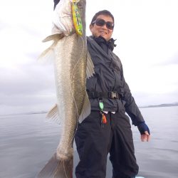 アマテラス 釣果