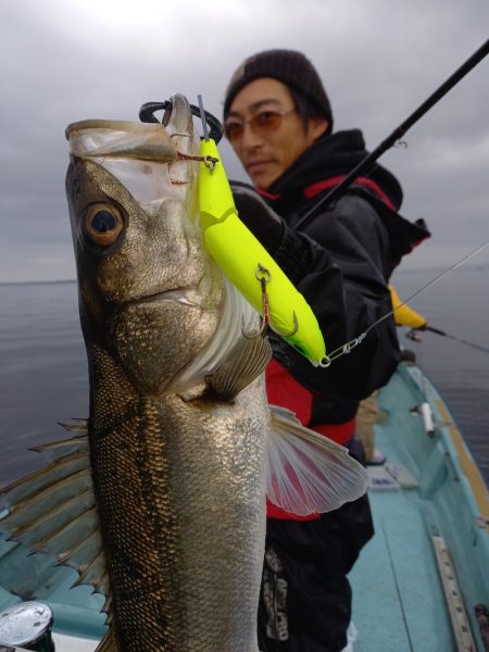 アマテラス 釣果