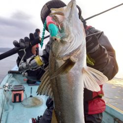 アマテラス 釣果