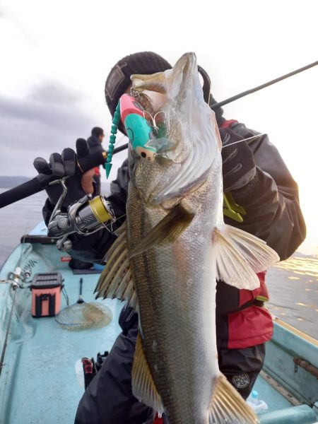 アマテラス 釣果