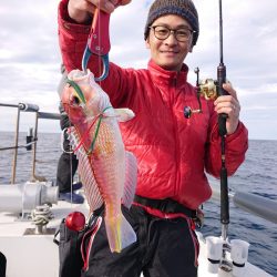 ARCADIAⅡ (アルカディアⅡ) 釣果