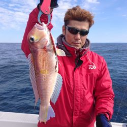 ARCADIAⅡ (アルカディアⅡ) 釣果