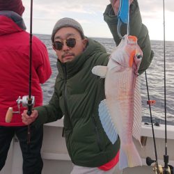 ARCADIAⅡ (アルカディアⅡ) 釣果