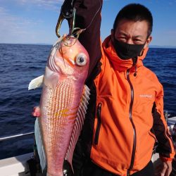 ARCADIAⅡ (アルカディアⅡ) 釣果