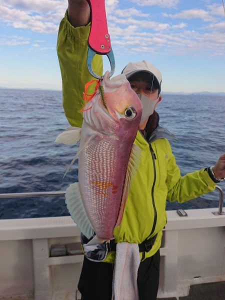 ARCADIAⅡ (アルカディアⅡ) 釣果