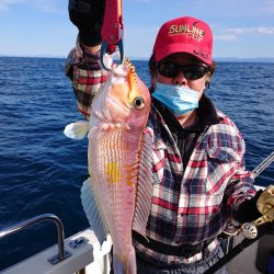 ARCADIAⅡ (アルカディアⅡ) 釣果