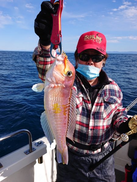 ARCADIAⅡ (アルカディアⅡ) 釣果