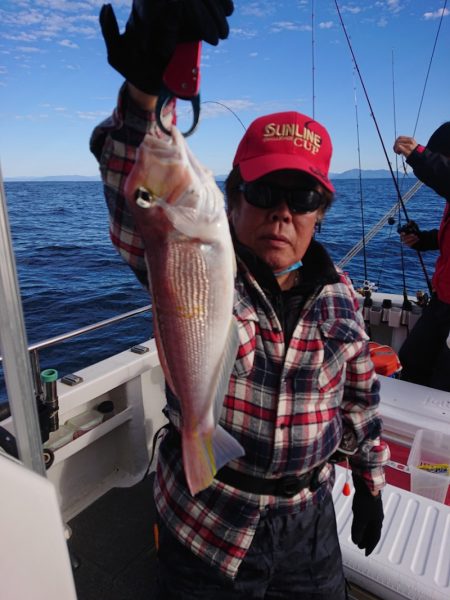 ARCADIAⅡ (アルカディアⅡ) 釣果