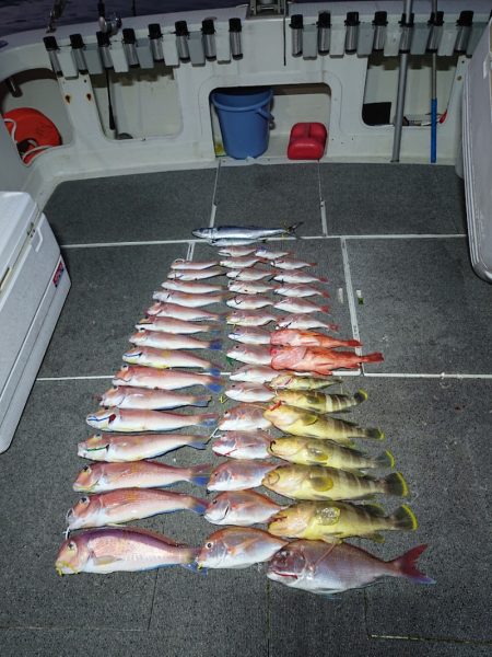 ARCADIAⅡ (アルカディアⅡ) 釣果