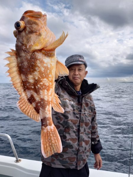 アマテラス 釣果