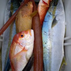 第二龍勢丸 釣果