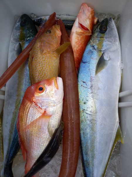 第二龍勢丸 釣果