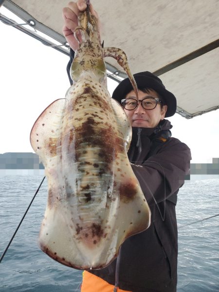 ソルトウォーターガイドフレンズ 釣果