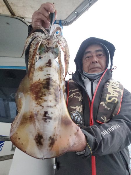 ソルトウォーターガイドフレンズ 釣果