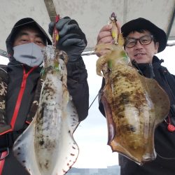 ソルトウォーターガイドフレンズ 釣果