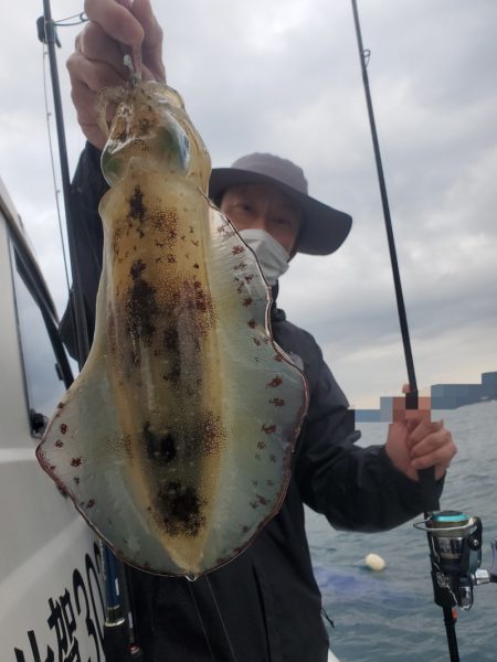 ソルトウォーターガイドフレンズ 釣果