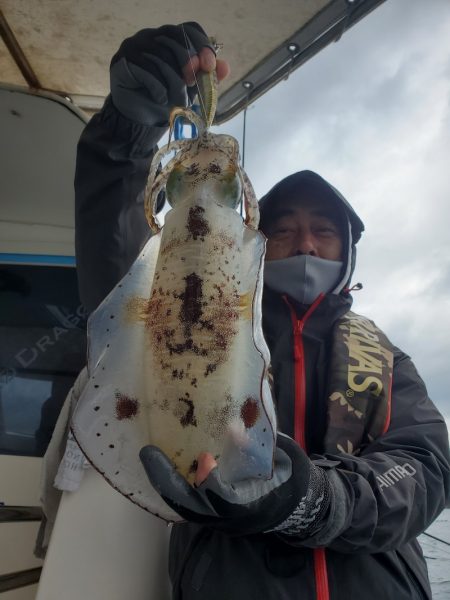 ソルトウォーターガイドフレンズ 釣果