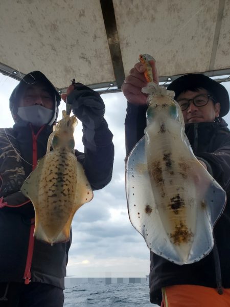 ソルトウォーターガイドフレンズ 釣果