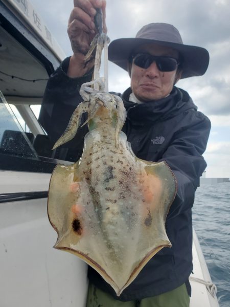 ソルトウォーターガイドフレンズ 釣果